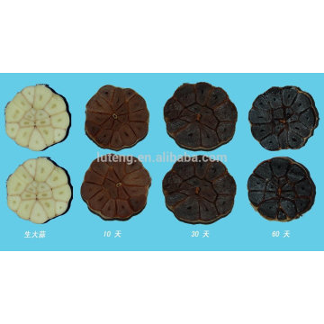 Japanese Type of fermented black garlic for good health